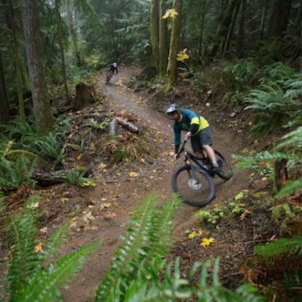 Group of mountain bikers gathered on a forest trail in Washington State.